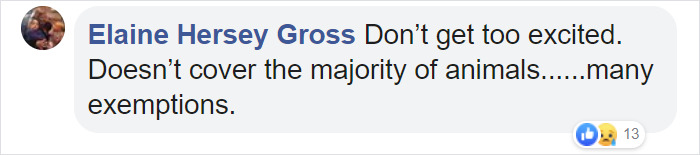 Animal Cruelty Is Now Officially A Nationwide Felony In The USA