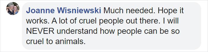 Animal Cruelty Is Now Officially A Nationwide Felony In The USA