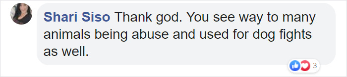 Animal Cruelty Is Now Officially A Nationwide Felony In The USA Animal Cruelty Is Now Officially A Nationwide Felony In The USA