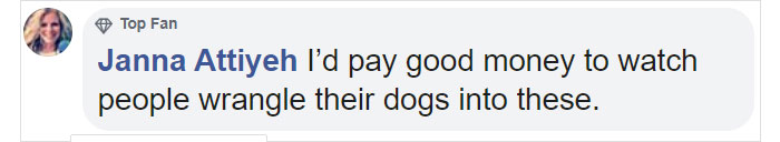 You Can Now Get Your Dog A Pair Of Leggings To Warm Their Paws You Can Now Get Your Dog A Pair Of Leggings To Warm Their Paws