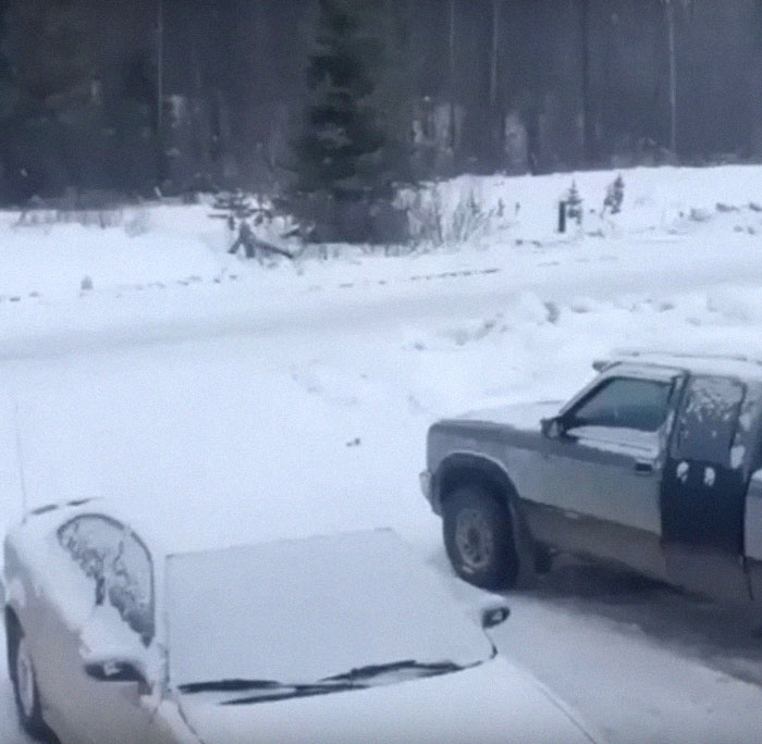 Man Documents A Strange Noise Coming From Outside The Forest, Asks What The Hell It Is Man Documents A Strange Noise Coming From Outside The Forest, Asks What The Hell It Is