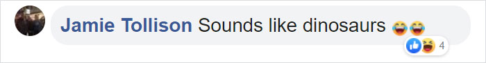 Man Documents A Strange Noise Coming From Outside The Forest, Asks What The Hell It Is Man Documents A Strange Noise Coming From Outside The Forest, Asks What The Hell It Is