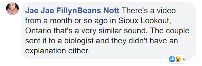 Man Documents A Strange Noise Coming From Outside The Forest, Asks What The Hell It Is Man Documents A Strange Noise Coming From Outside The Forest, Asks What The Hell It Is