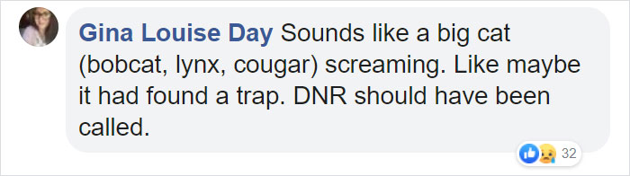 Man Documents A Strange Noise Coming From Outside The Forest, Asks What The Hell It Is