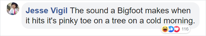 Man Documents A Strange Noise Coming From Outside The Forest, Asks What The Hell It Is Man Documents A Strange Noise Coming From Outside The Forest, Asks What The Hell It Is