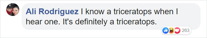 Man Documents A Strange Noise Coming From Outside The Forest, Asks What The Hell It Is