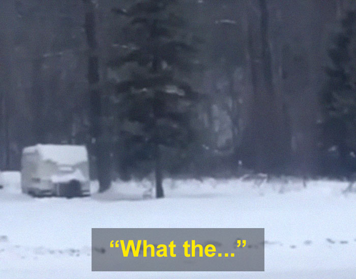 Man Documents A Strange Noise Coming From Outside The Forest, Asks What The Hell It Is