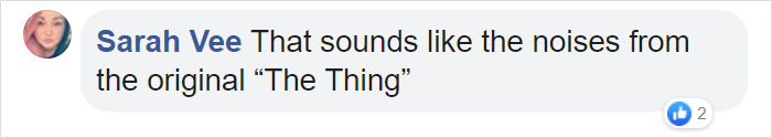 Man Documents A Strange Noise Coming From Outside The Forest, Asks What The Hell It Is Man Documents A Strange Noise Coming From Outside The Forest, Asks What The Hell It Is