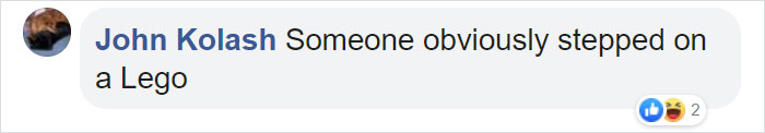 Man Documents A Strange Noise Coming From Outside The Forest, Asks What The Hell It Is Man Documents A Strange Noise Coming From Outside The Forest, Asks What The Hell It Is
