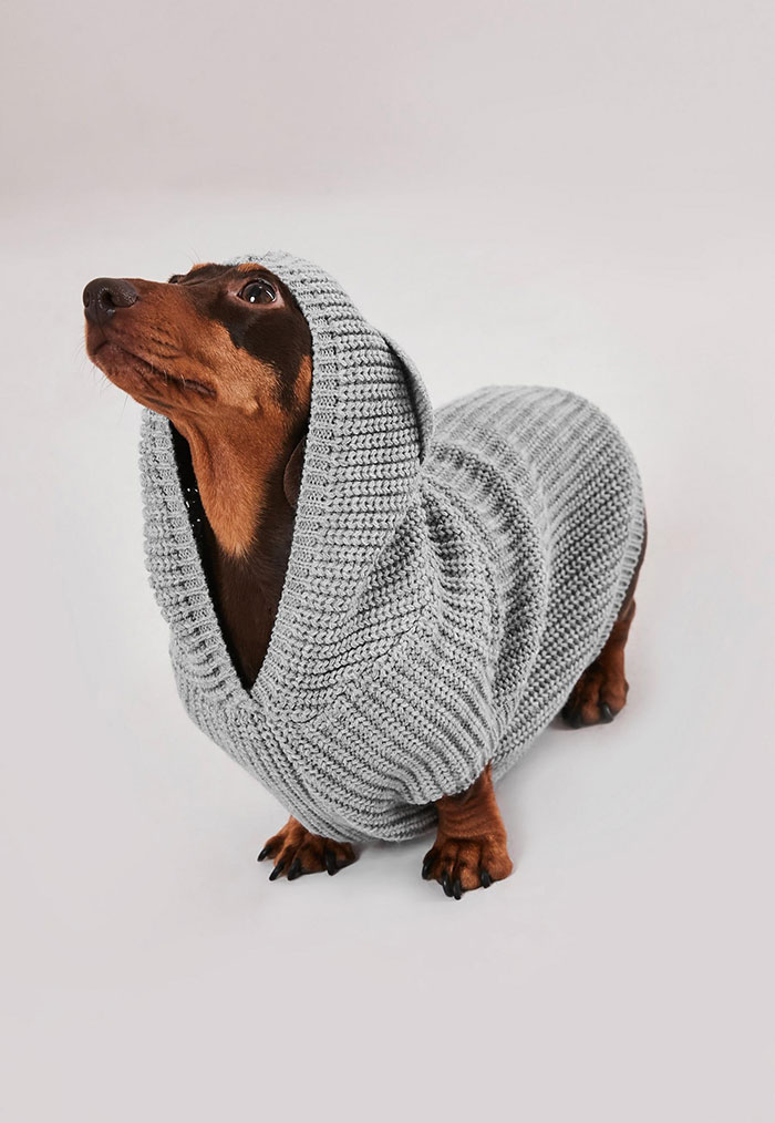 This Clothing Brand Started Selling Matching Sweaters For Dogs And Their Owners And They're Adorable
This Clothing Brand Started Selling Matching Sweaters For Dogs And Their Owners And They're Adorable