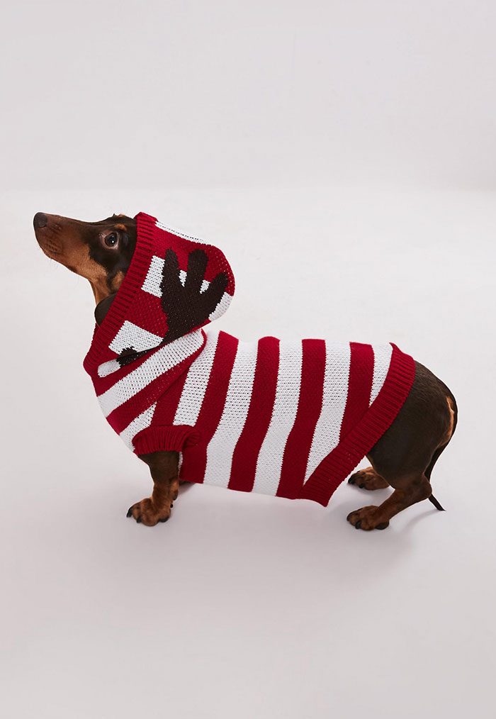 This Clothing Brand Started Selling Matching Sweaters For Dogs And Their Owners And They're Adorable
This Clothing Brand Started Selling Matching Sweaters For Dogs And Their Owners And They're Adorable