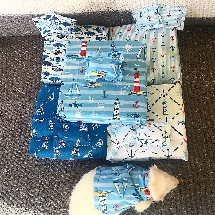 This Woman Makes Mattresses For Rats As Well As Matching Pajamas, And They're Adorable This Woman Makes Mattresses For Rats As Well As Matching Pajamas, And They're Adorable