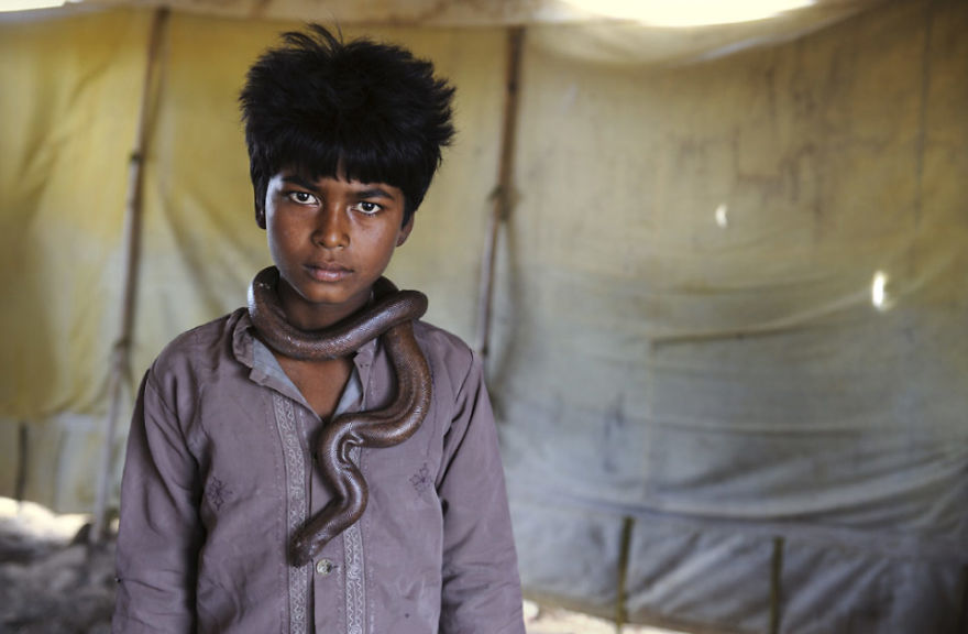 The Special Bond Between Humans And Animals Portrayed By Steve Mccurry