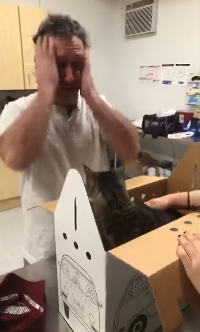 Man Gets Reunited With His 19-Year-Old Cat 7 Years After He Went Missing