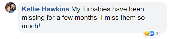 Man Gets Reunited With His 19-Year-Old Cat 7 Years After He Went Missing