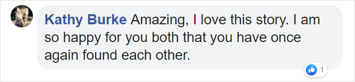 Man Gets Reunited With His 19-Year-Old Cat 7 Years After He Went Missing