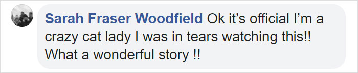 Man Gets Reunited With His 19-Year-Old Cat 7 Years After He Went Missing