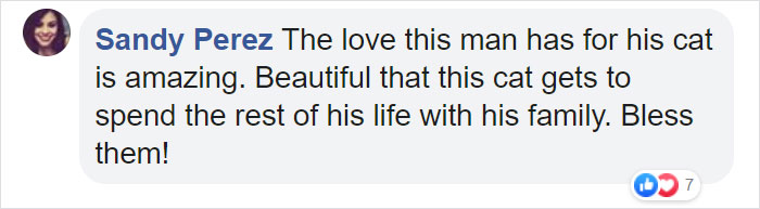 Man Gets Reunited With His 19-Year-Old Cat 7 Years After He Went Missing