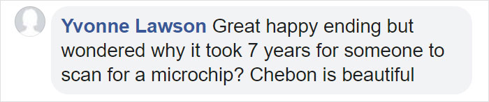 Man Gets Reunited With His 19-Year-Old Cat 7 Years After He Went Missing