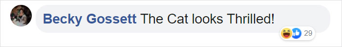 Man Gets Reunited With His 19-Year-Old Cat 7 Years After He Went Missing