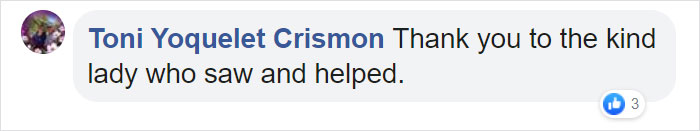 Man Gets Reunited With His 19-Year-Old Cat 7 Years After He Went Missing