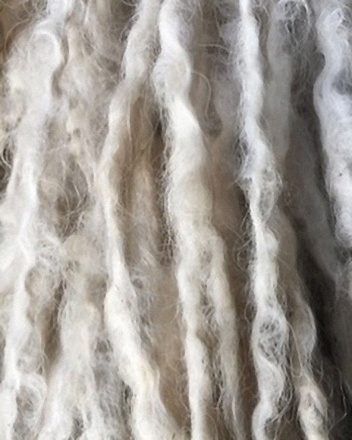 Mop Dog Named Hanga Goes Viral For Her Swimming Video And She's Lucky Her Owner Is A Pet Groomer Mop Dog Named Hanga Goes Viral For Her Swimming Video And She's Lucky Her Owner Is A Pet Groomer