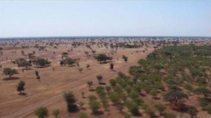 Over 20 Countries Started Building The “Great Green Wall” To Stop Climate Change & Poverty