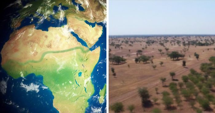 Over 20 Countries Started Building The “Great Green Wall” To Stop Climate Change & Poverty
