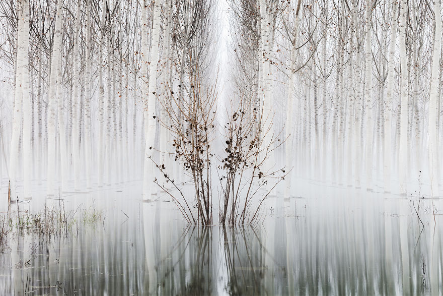 Category Plants And Fungi Highly Commended: 'Survivor III' By David Frutos Egea (Es)