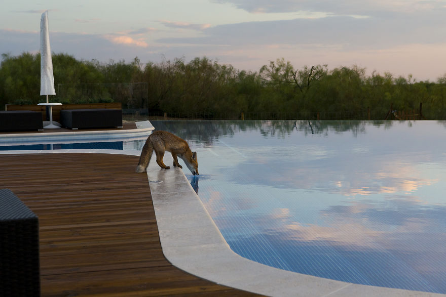 Category Man And Nature Highly Commended:' Sunsets' By Pedro Narra (Pt)