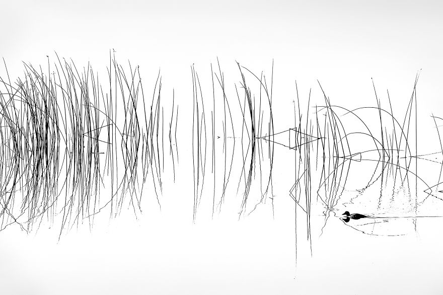 Category Black And White Highly Commended: 'Passing Through' By Shane Kalyn (Ca)