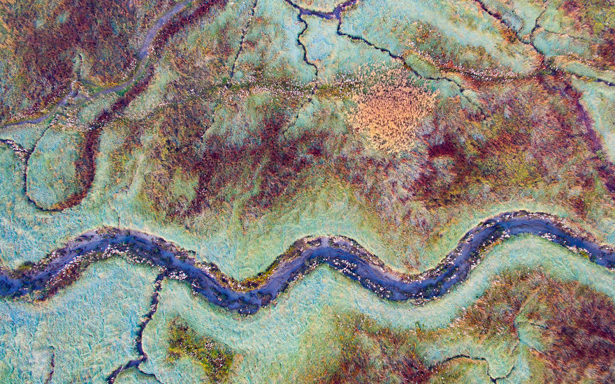 Category Landscapes Of The Lage Landen Runner-Up: 'Snake' By Sam Mannaerts (Be)