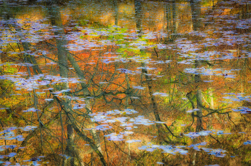 Category Landscapes Of The Lage Landen Highly Commended: 'Reflections' By Erik Steen Redeker (Be)