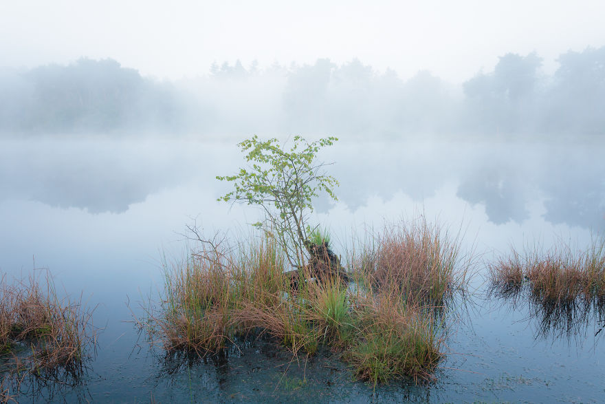 Category Landscapes Of The Lage Landen Highly Commended: 'Erik Steen Redeker' By Michel Lucas (Nl)