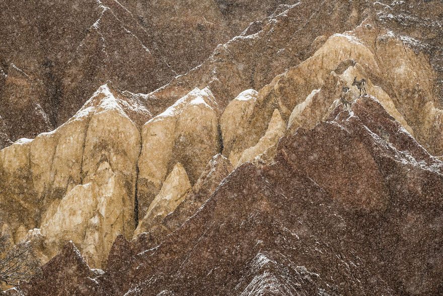 Category Youth Highly Commended: 'Living On The Edge' By Carlos Perez Naval (Es)