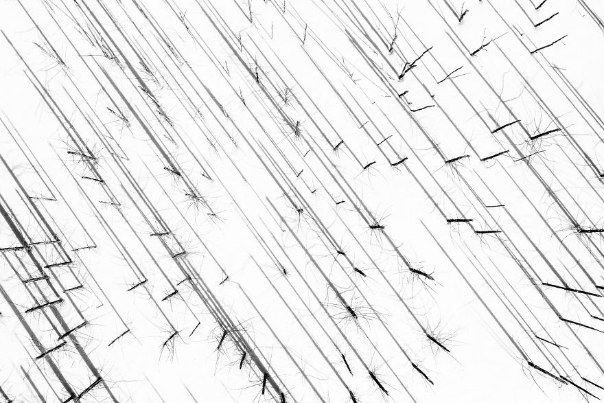 Category Fred Hazelhoff Portfolio Award Winner: 'Cuejdel My Lake' By Gheorghe Popa (Ro)