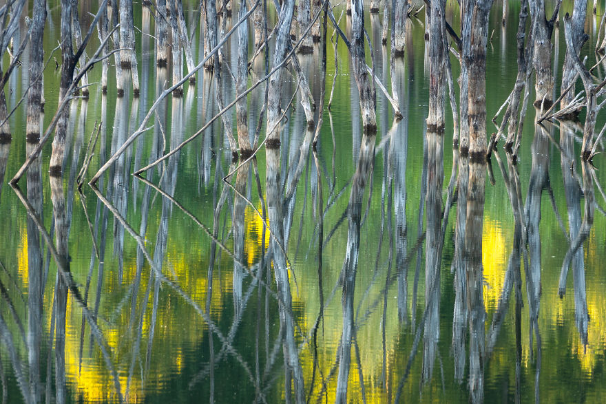 Category Fred Hazelhoff Portfolio Award Winner: 'Cuejdel My Lake' By Gheorghe Popa (Ro)