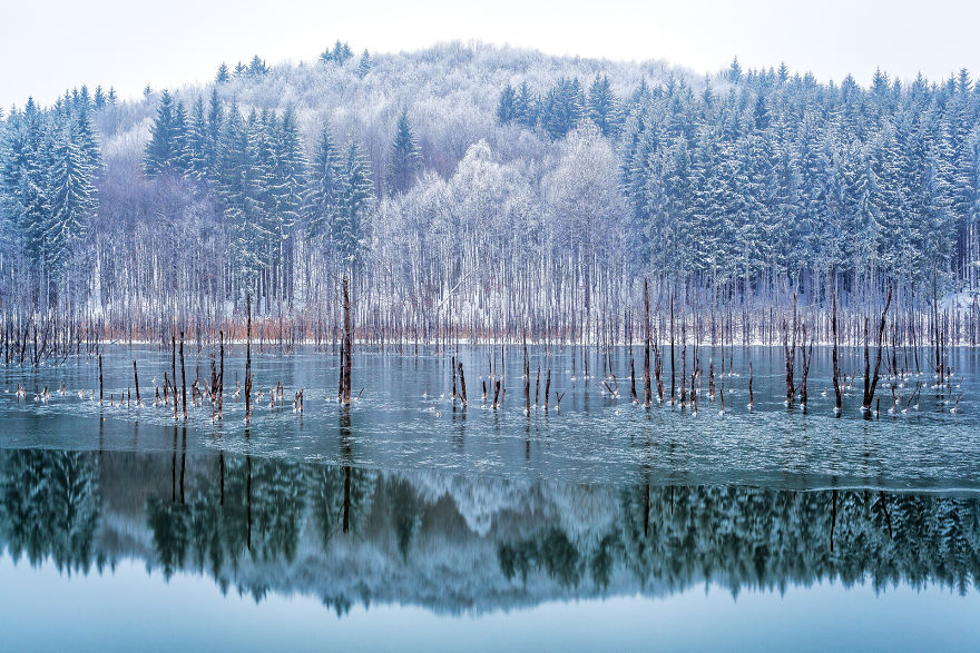Category Fred Hazelhoff Portfolio Award Winner: 'Cuejdel My Lake' By Gheorghe Popa (Ro)