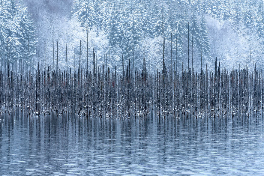 Category Fred Hazelhoff Portfolio Award Winner: 'Cuejdel My Lake' By Gheorghe Popa (Ro)