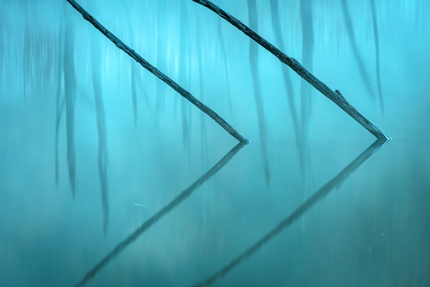 Category Fred Hazelhoff Portfolio Award Winner: 'Cuejdel My Lake' By Gheorghe Popa (Ro)