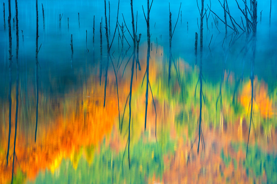 Category Fred Hazelhoff Portfolio Award Winner: 'Cuejdel My Lake' By Gheorghe Popa (Ro)