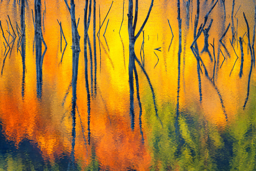 Category Fred Hazelhoff Portfolio Award Winner: 'Cuejdel My Lake' By Gheorghe Popa (Ro)