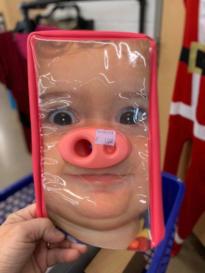 No Need To Help Me Name Him. I Came Up With The Perfect Name As Soon As I Figured Out What He Was. I’d Like To Introduce You To Snotty Scotty