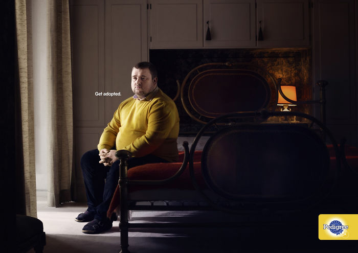 Ad Campaigns Tell How A Dog Can Transform A Person's Life (16 Pics)