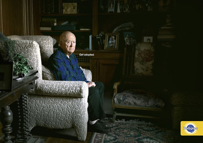 Ad Campaigns Tell How A Dog Can Transform A Person's Life (16 Pics) Ad Campaigns Tell How A Dog Can Transform A Person's Life (16 Pics)