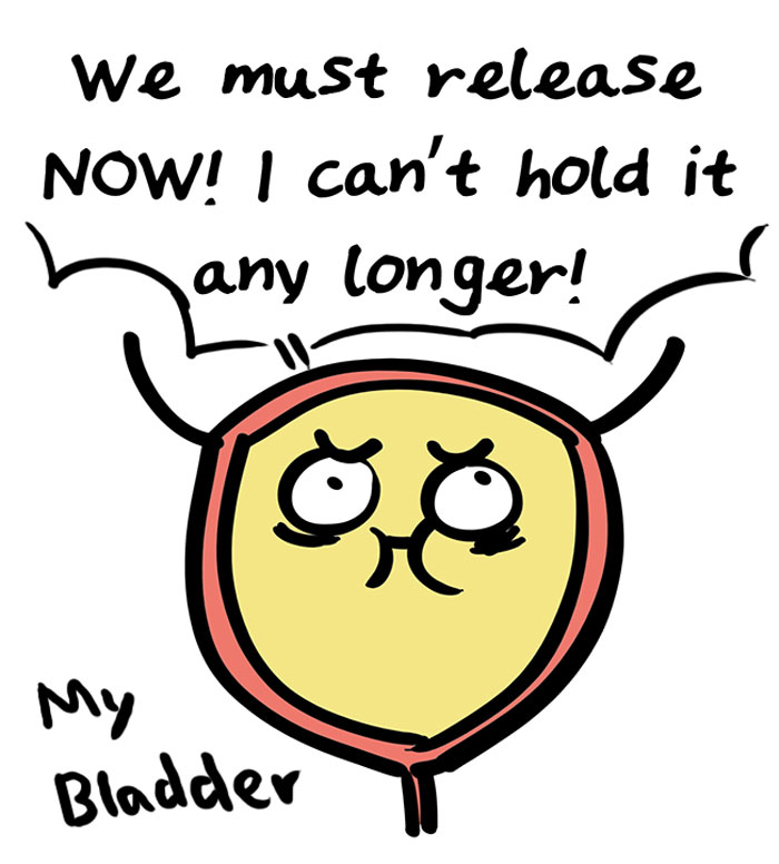 Mom Illustrates The Time She Overestimated Her Bladder Size, And It’s Hilariously Vivid