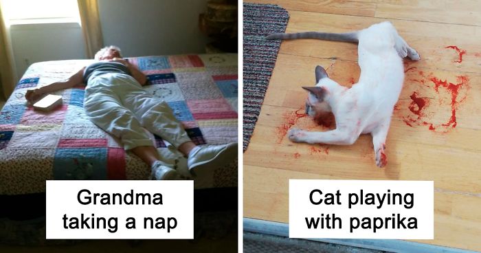 30 Times Innocent Things Almost Gave People A Heart Attack