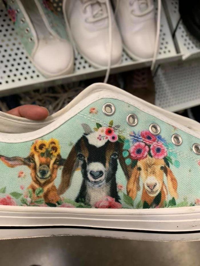 I Wanted These But They Were Too Big By At Least 3 Sizes. I Was So Disappointed They Weren’t My Size, I Didn’t Look At The Price Or The Actual Size
