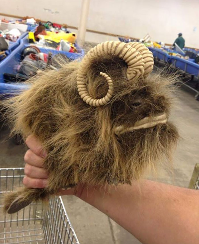 Found In North Versailles Goodwill Bin. Not Sure What Kind Of Creature It Is?