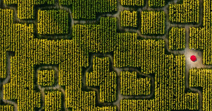 50 Breathtaking Photos From Our Landscape 2019 Contest